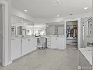 Primary bathroom suite