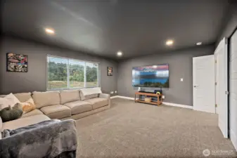 Huge Bonus room/ theater room