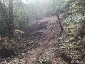This pic is taken from just down the driveway opening looking south to where you could build. As mentioned, the included plans are for a side-entry 2 car garage this northern side of the home site.
