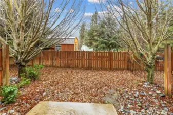 Nice back patio and yard space