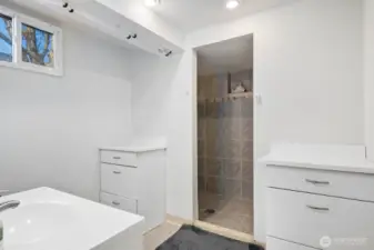 Lower level 3/4 bath