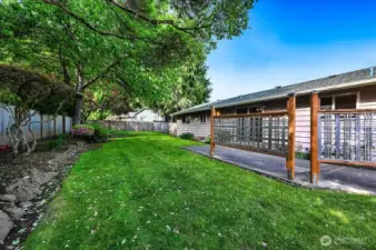 Backyard and Mature Landscape