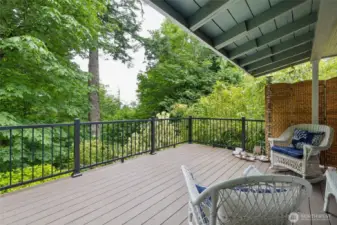 Rear Deck