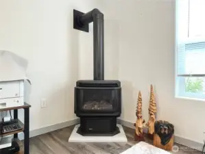 Home is set up for coastal rain and winter power outages.