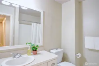 Main bathroom with tub & shower.