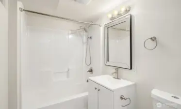 Down Stairs Bathroom
