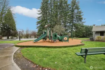 Community Playground