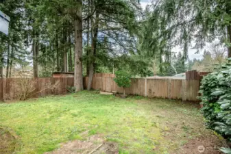Large Fenced Yard