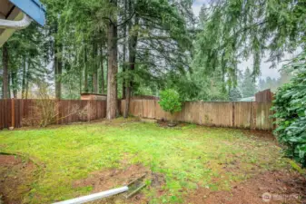 Fenced backyard
