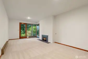 Lower level family room with fireplace.