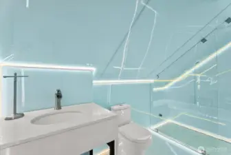 Newly installed world-class, luxury bathroom with a walk-in steam shower, built with quality in every aspect, with new plumbing, electrical, and ventilation.