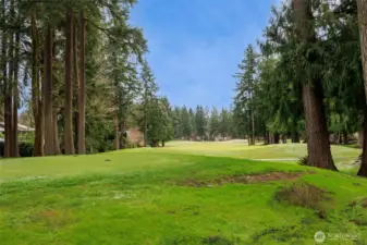 8th Teebox and to the right is the 7th Green/fairway
