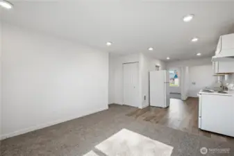 Recessed Lighting Throughout