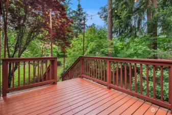 The other side of the deck with stairs leading to the backyard.