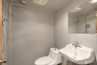 "Wet Room" bathroom with drain in the middle of the room.