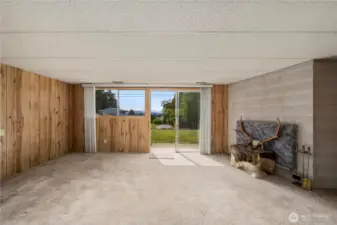 Family Room (Lower)