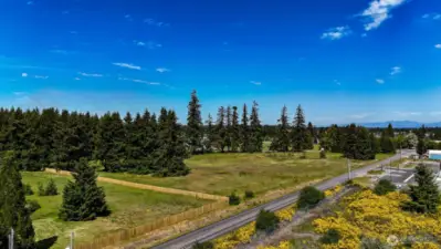 Plenty of space for horses, hens, and a flock of goats!