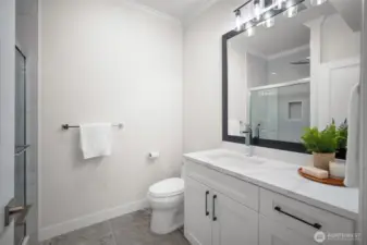 Downstairs bathroom, full size with shower.