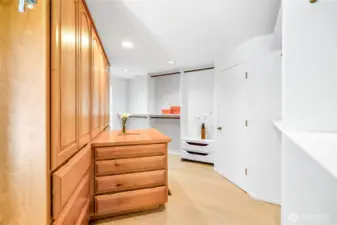 Huge Walk-in Closet.