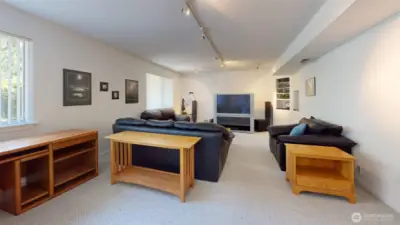 Lower level entertainment room!
