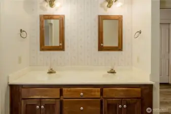 Double Sinks