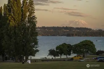 Magnusen Park