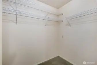 Walk-In Closet: Generous walk-in closet with built-in shelving, offering ample storage space in the primary suite.
