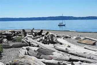 A less well-known but great park, Lowman Park.