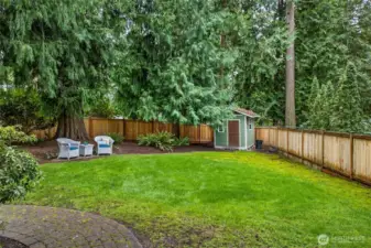 Another backyard angle shows the fenced perimeter and a generous stretch of lawn framed by mature trees. The space feels quiet and tucked away, with room to personalize for gardening or outdoor hobbies.