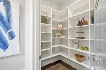 Walk-in pantry for plenty of additional storage.