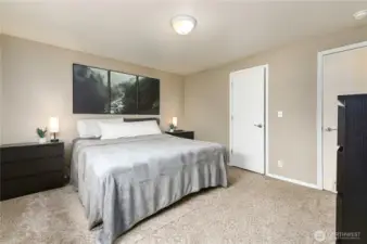 Primary bedroom with walk-in closet.