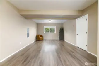Large lower level family room.