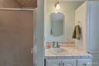 Primary Suite Shower