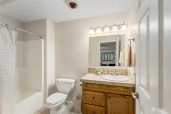 Bathroom Lower Level