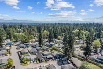 Aerial view of the community