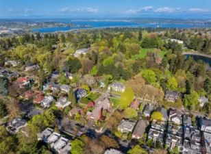 Volunteer Park is practically your back yard
