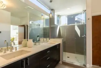 Primary ensuite bathroom with walk-in shower and private lavatory