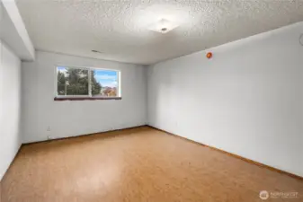 All lower rooms offer potential for a variety of uses, from accomodating guests to home office potential.