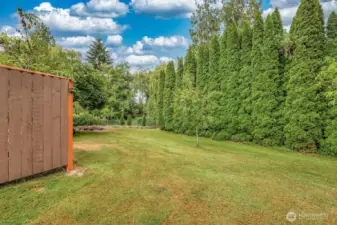 Privacy hedge