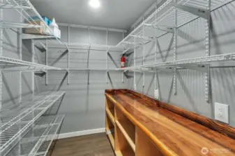 Tons of useful storage space in this walk-in pantry.