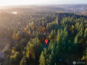 Sweeping views of majestic forestland.