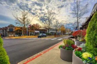 Enjoy Shops/Restaurants in Beautiful Downtown Kirkland, closeby.