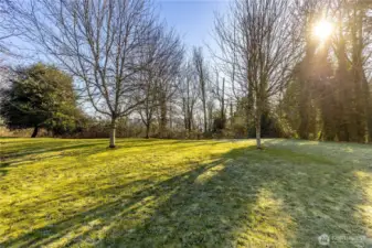 Large back area for Lot 4