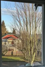 View from stairwell near top floor.