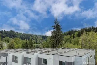 View from neighboring unit - lot 24