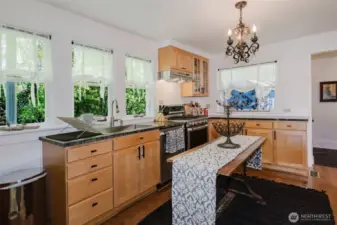 Stainless Sink and appliances.