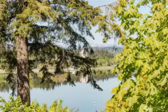 Looking through the trees from the backyard.