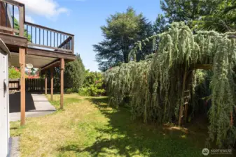 Backyard view of the covered lower patio, the upper deck and the mature landscaping.