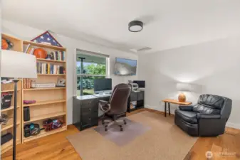 Bonus/Office room dowstairs