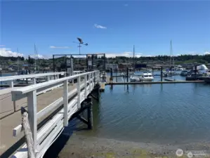 Driftwood Key dock and Marina with Harbormaster on duty.